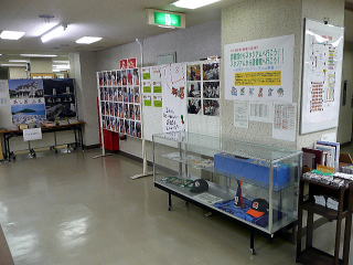 �l���A�C�����h���[�Oplus�W���̗l�q