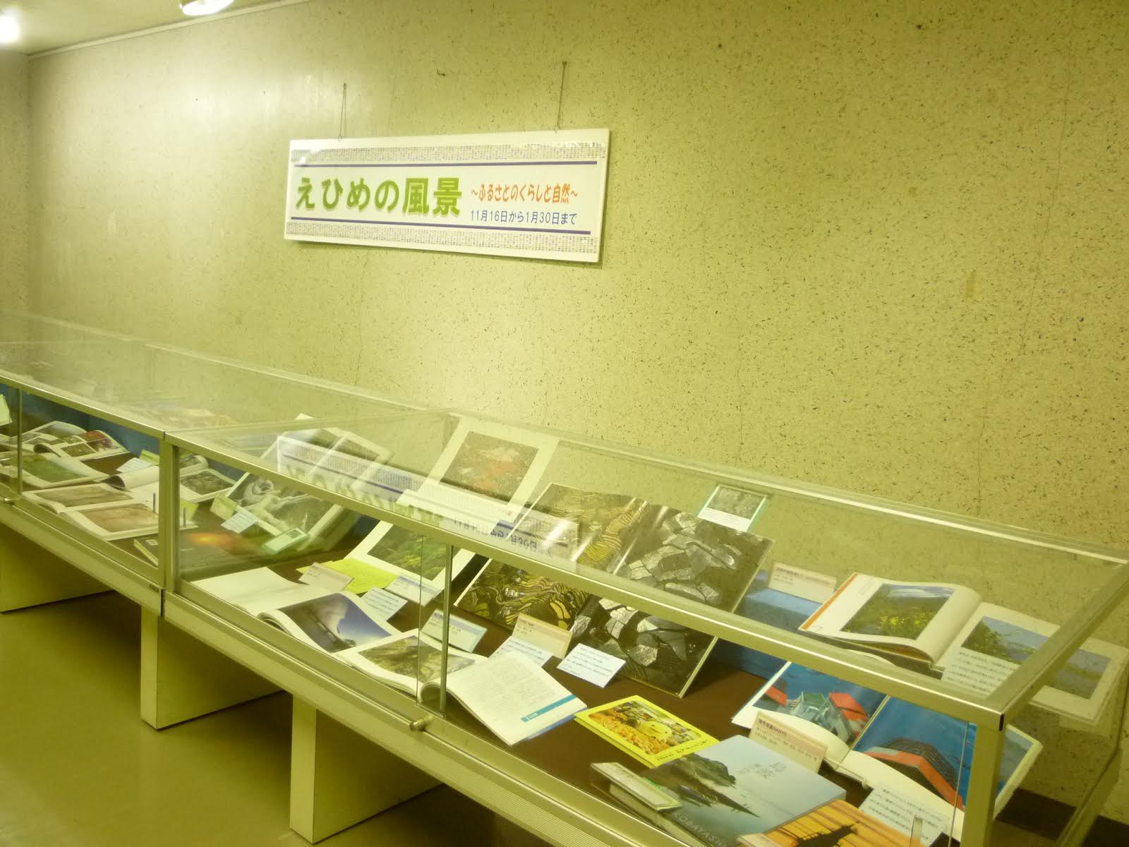 展示の様子