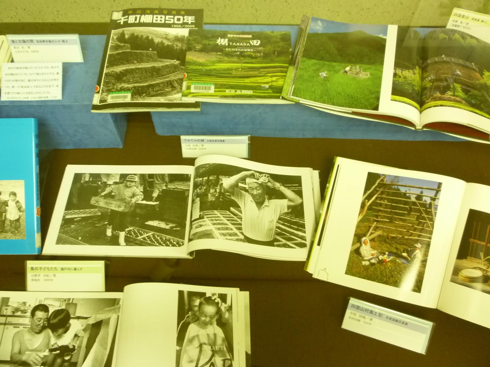 展示の様子