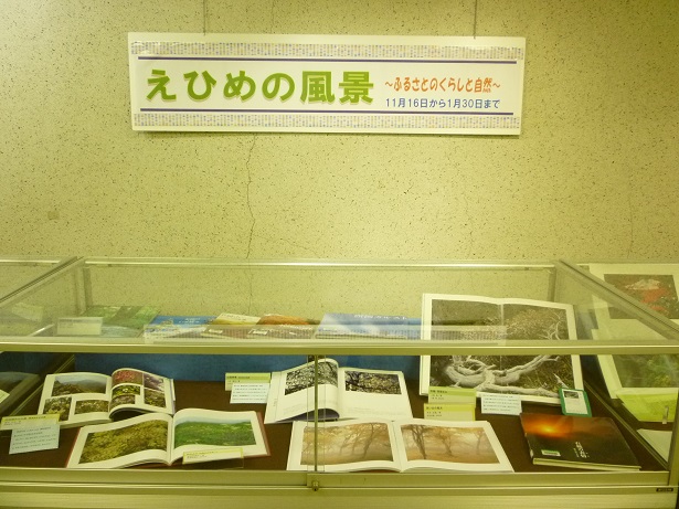 展示の様子