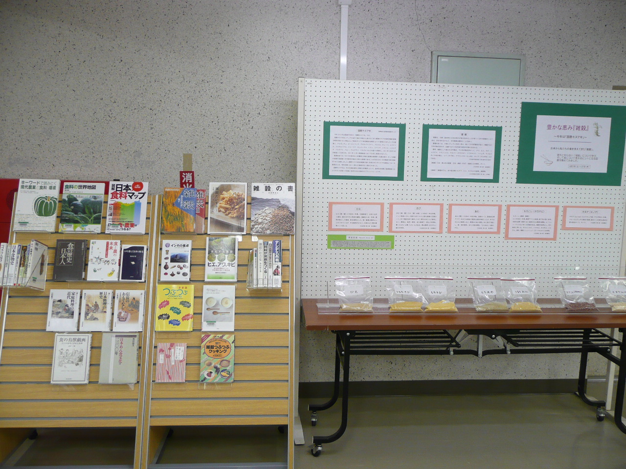 一般展示（写真2）