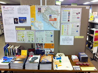 �N���A�`�A�W���̗l�q