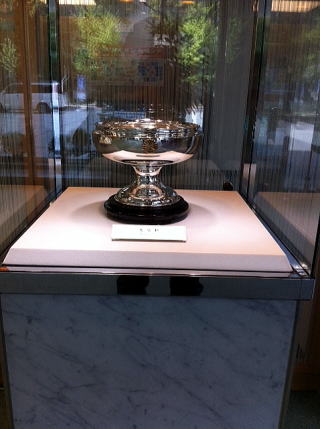 �V�c�t�̎ʐ^