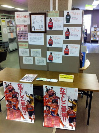 ���Q�e�b���f�B�[�X�W�̗l�q