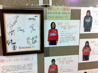 ���Q�e�b���f�B�[�X�W�̗l�q