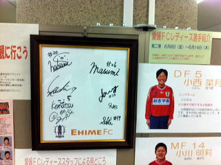 ���Q�e�b���f�B�[�X�W���e�̗l�q