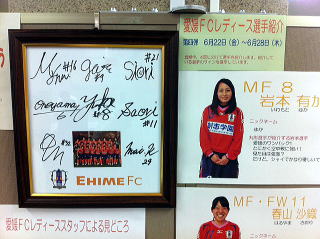 ���Q�e�b���f�B�[�X�W��l�e�̗l�q