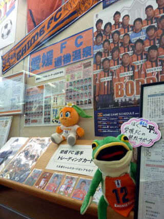 上山市立図書館での展示の様子